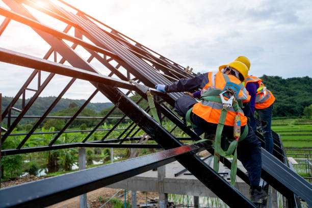 Professional Roofing Contractor in Red Chute, LA