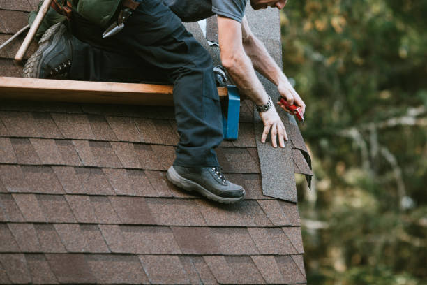 Professional Roofing Contractor in Red Chute, LA