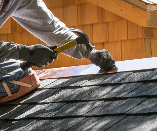 Best Roof Gutter Cleaning  in Red Chute, LA